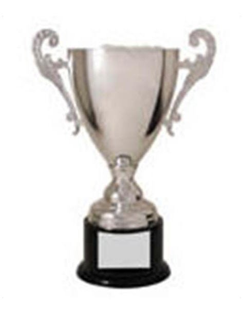 Silver Metal Loving Cup