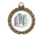 Wii Victorious Neck Medal