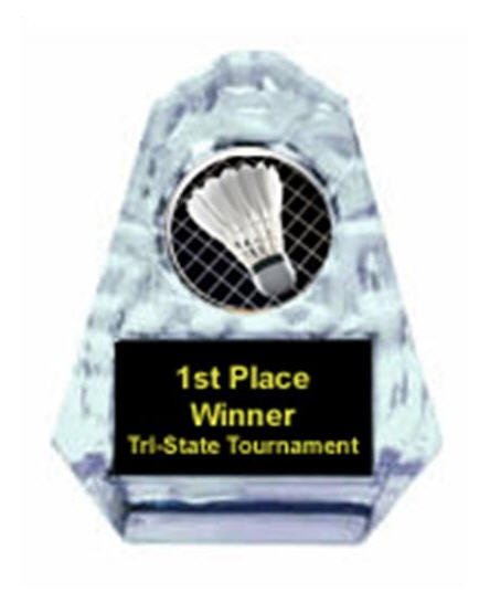Badminton Sculpted Ice Award