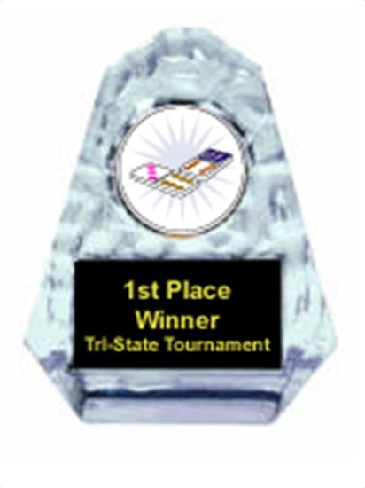 Domino Sculpted Ice Award