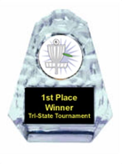 Frisbee Golf Sculpted Ice Award