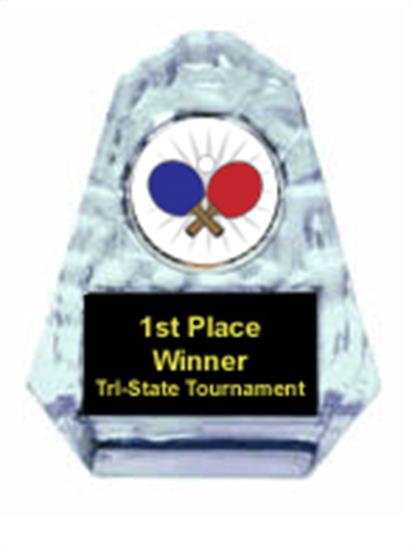 Ping Pong Sculpted Ice Award