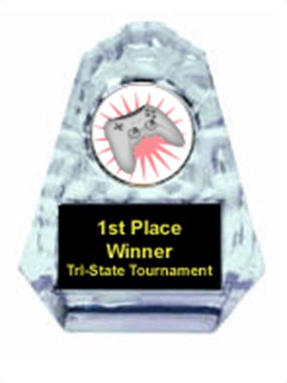 Video Sculpted Ice Award