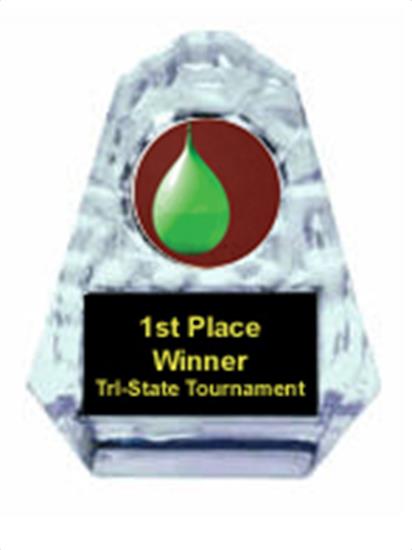 Water Balloon Toss Sculpted Ice Award