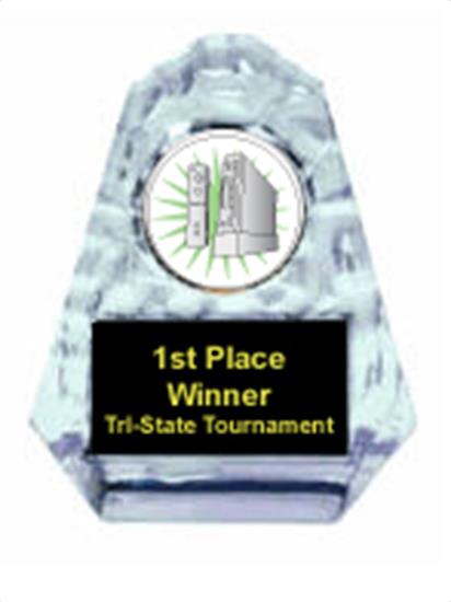 Wii Sculpted Ice Award