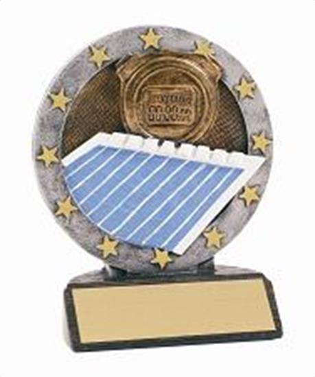 Swimming Resin Figure Trophy