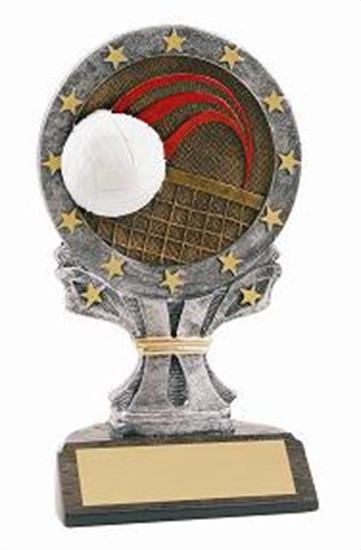 Volleyball 6 1/4 Tall Resin Trophy