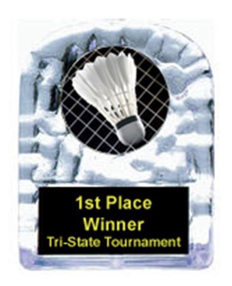 Badminton Cracked Ice Award