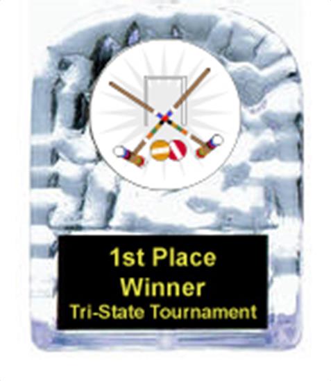 Croquet Cracked Ice Award