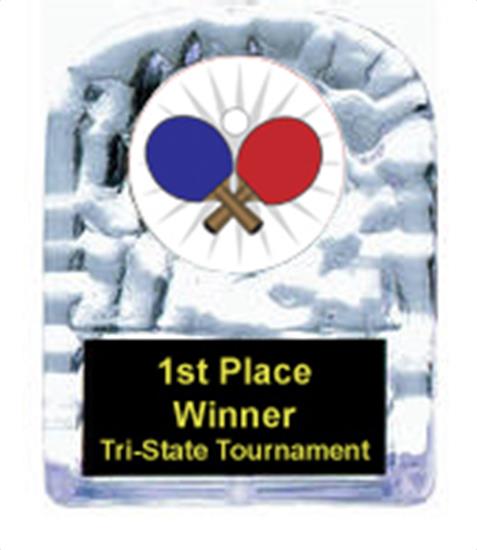 Cracked Ice Ping Pong Award
