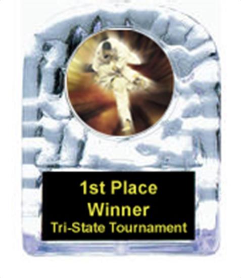 Karate Cracked Ice Trophy