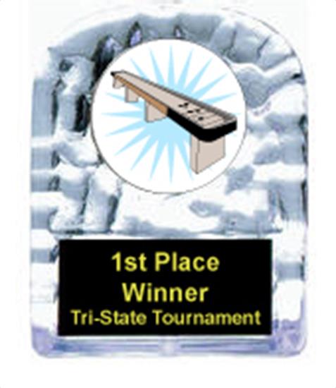 Table Shuffleboard Cracked Ice Award