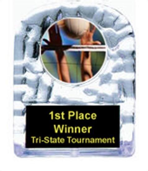 Volleyball Cracked Ice Trophy
