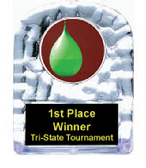 Water Balloon Toss Cracked Ice Award