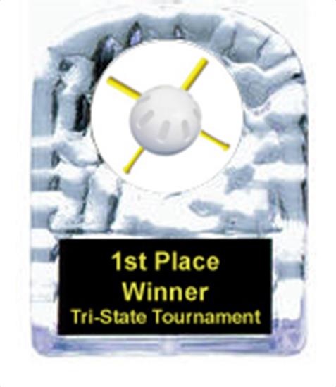 Wiffle Ball Cracked Ice Award