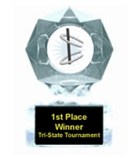 Horseshoe Clear Star Award