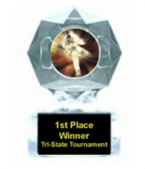Karate Clear Star Trophy