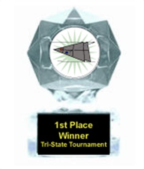 Shuffleboard Clear Star Award