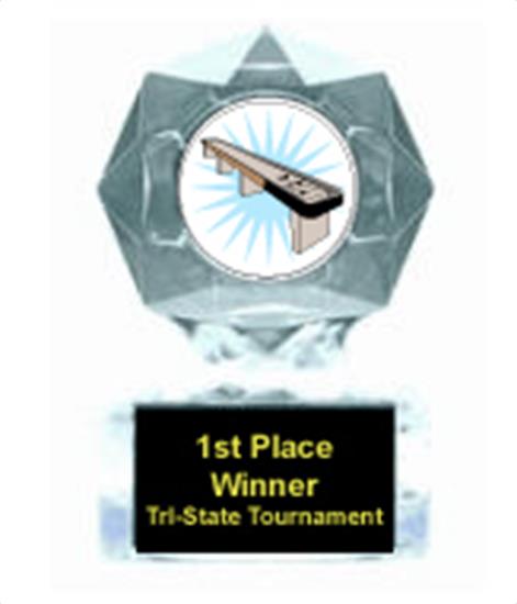 Table Shuffleboard Clear Star Award