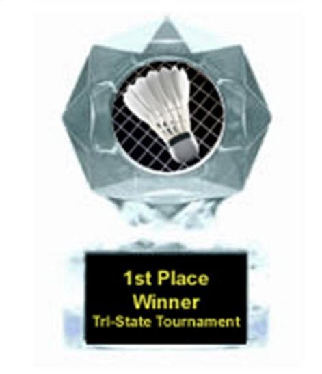 Badminton Blue Star Award