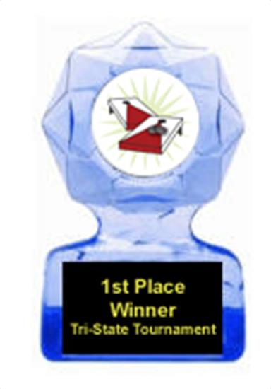 Corn Hole Blue Star Award