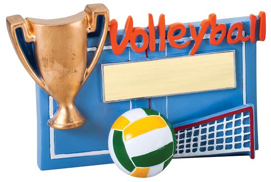 Volleyball Winners Cup Resin Trophy