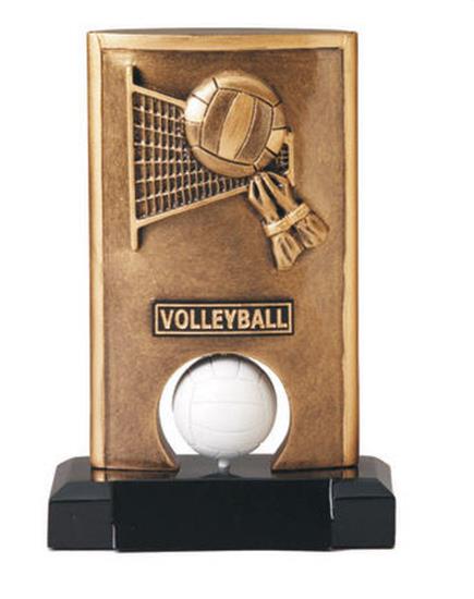 Volleyball Spinning Trophy