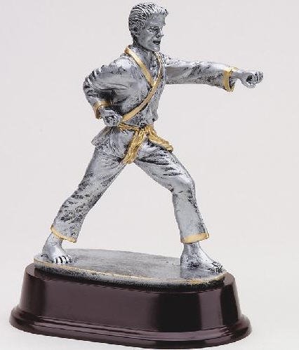 Male Karate Strike Trophy