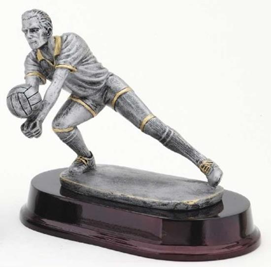 Male Volleyball Trophy