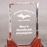 Acrylic Rectangle Award
