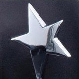 Silver Crystal Star Award
