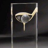 Three Dimensional Golf Award