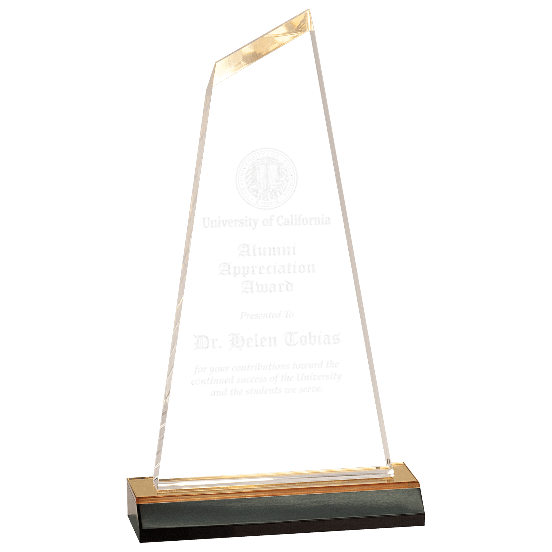 Reflection Acrylic Award