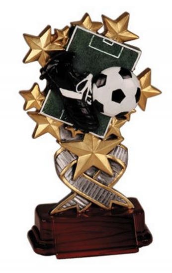 Custom Soccer Field Trophy