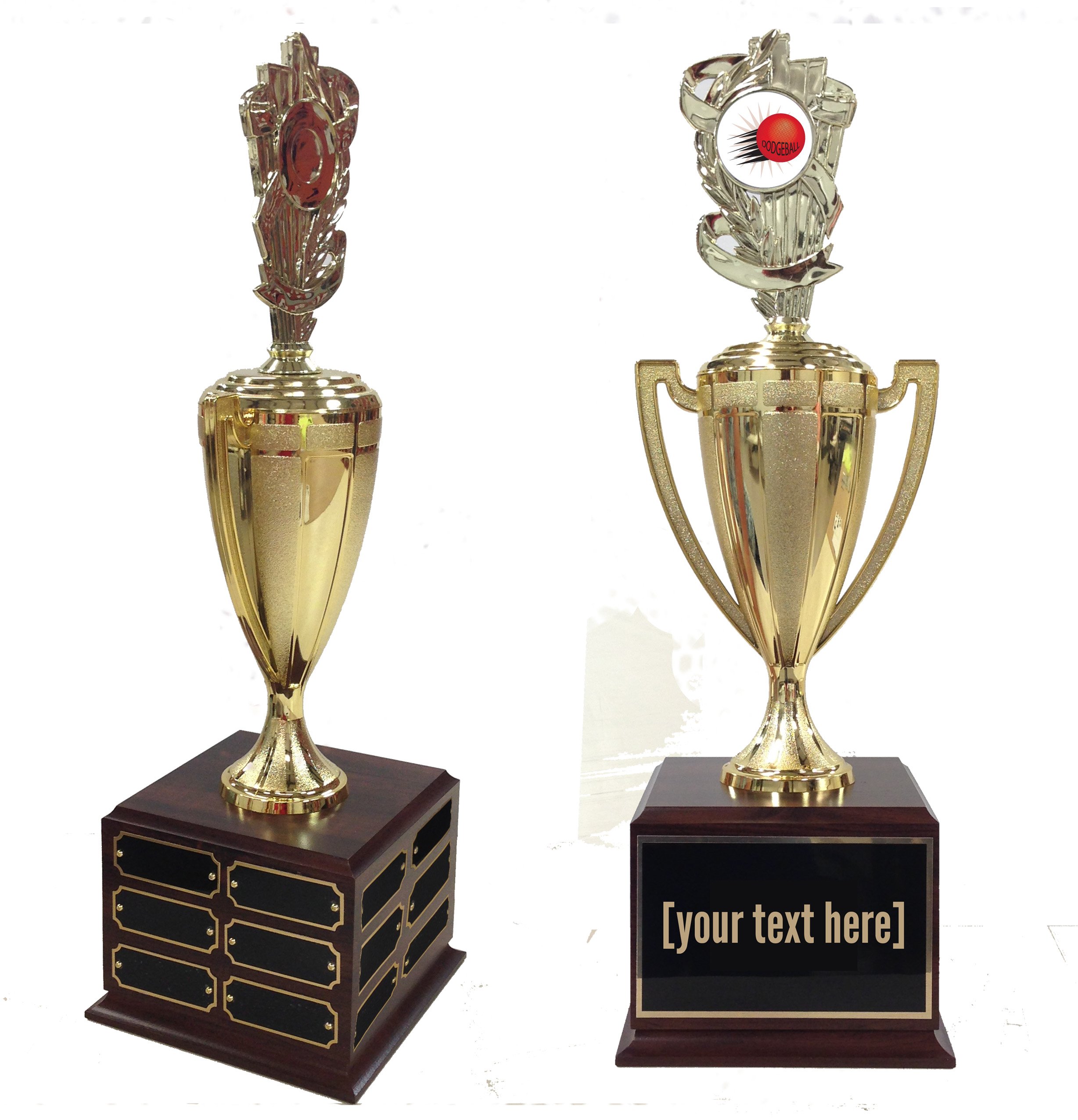 Dodgeball Traveling Trophy