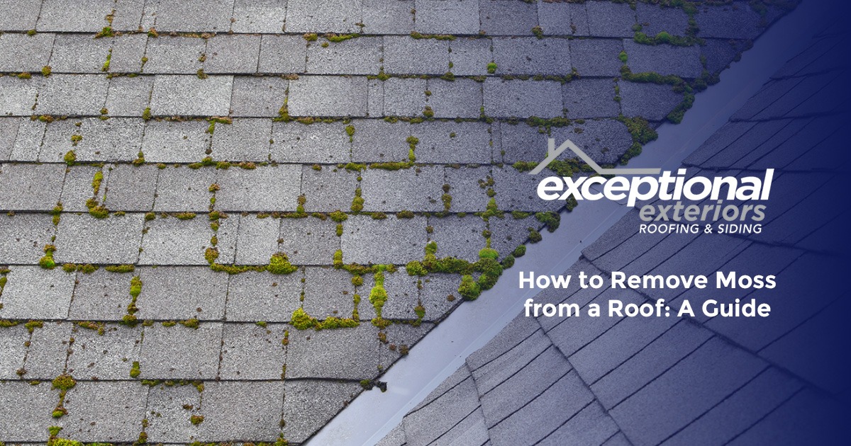 How to Remove Moss from a Roof: A Guide