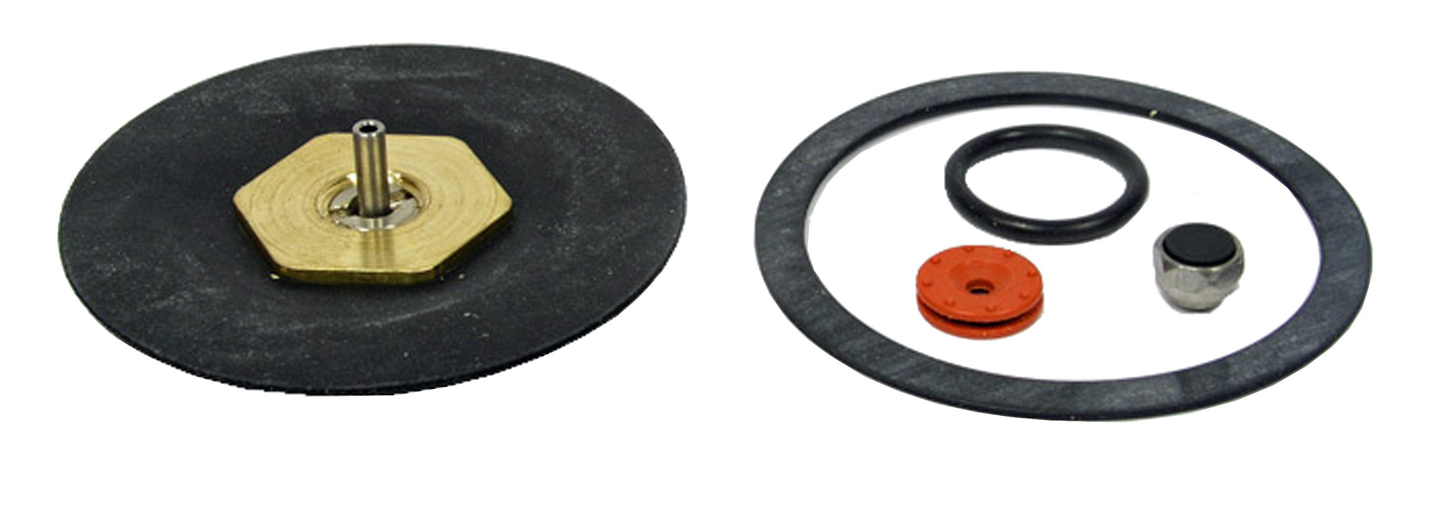 Repair Kit For Cornelius Primary Regulators