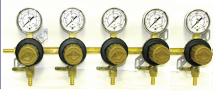 5 Body 60 Psi Polycarbonate Secondary Regulator Assembly