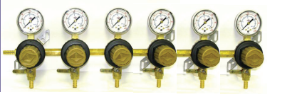 6 Body 60 Psi Polycarbonate Secondary Regulator Assembly