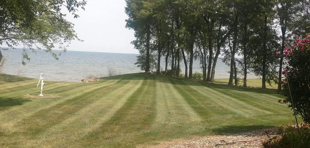 Beautifully Mowed Lawn