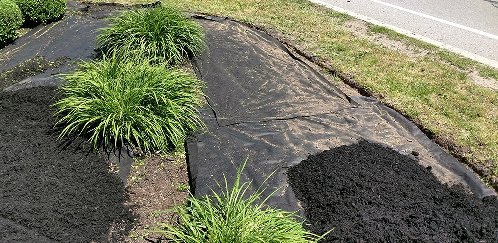Mulching Service