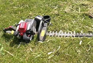 Bush & Hedge Trimming