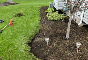 Flower Bed Maintenance