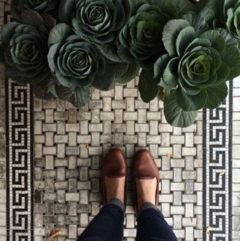Brown shoes on a tiled floor with leafy green plants above.