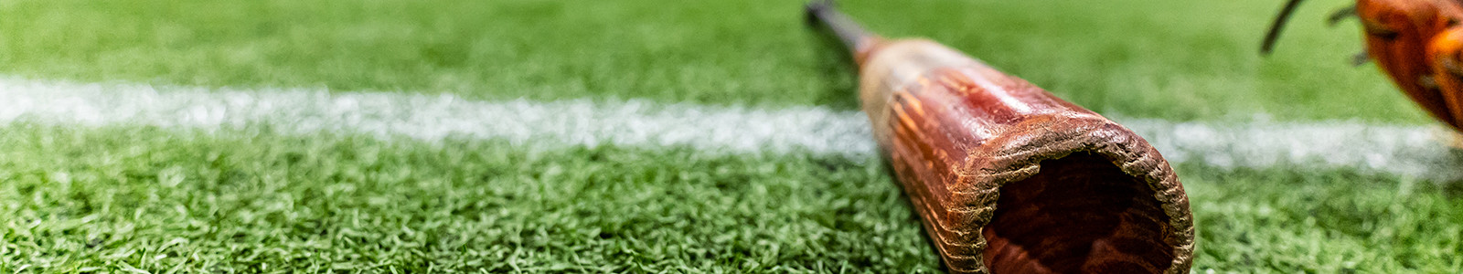 Header banner image