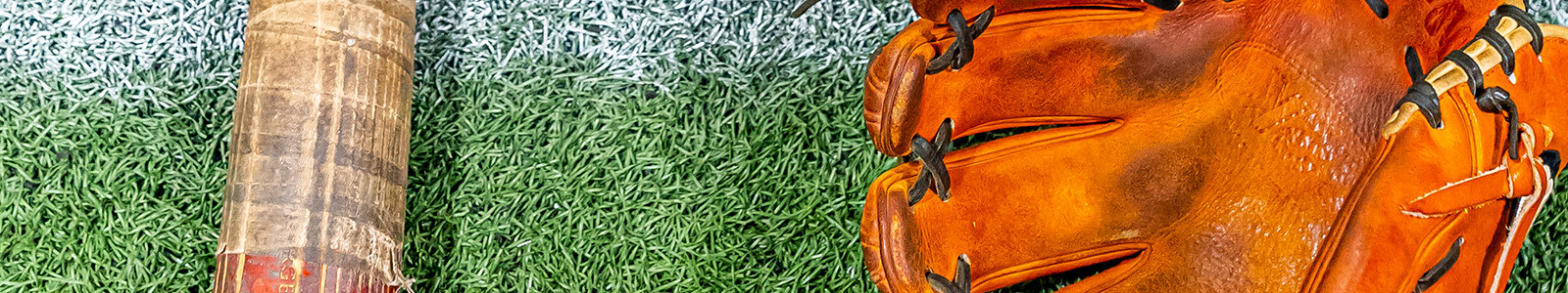 Header banner image