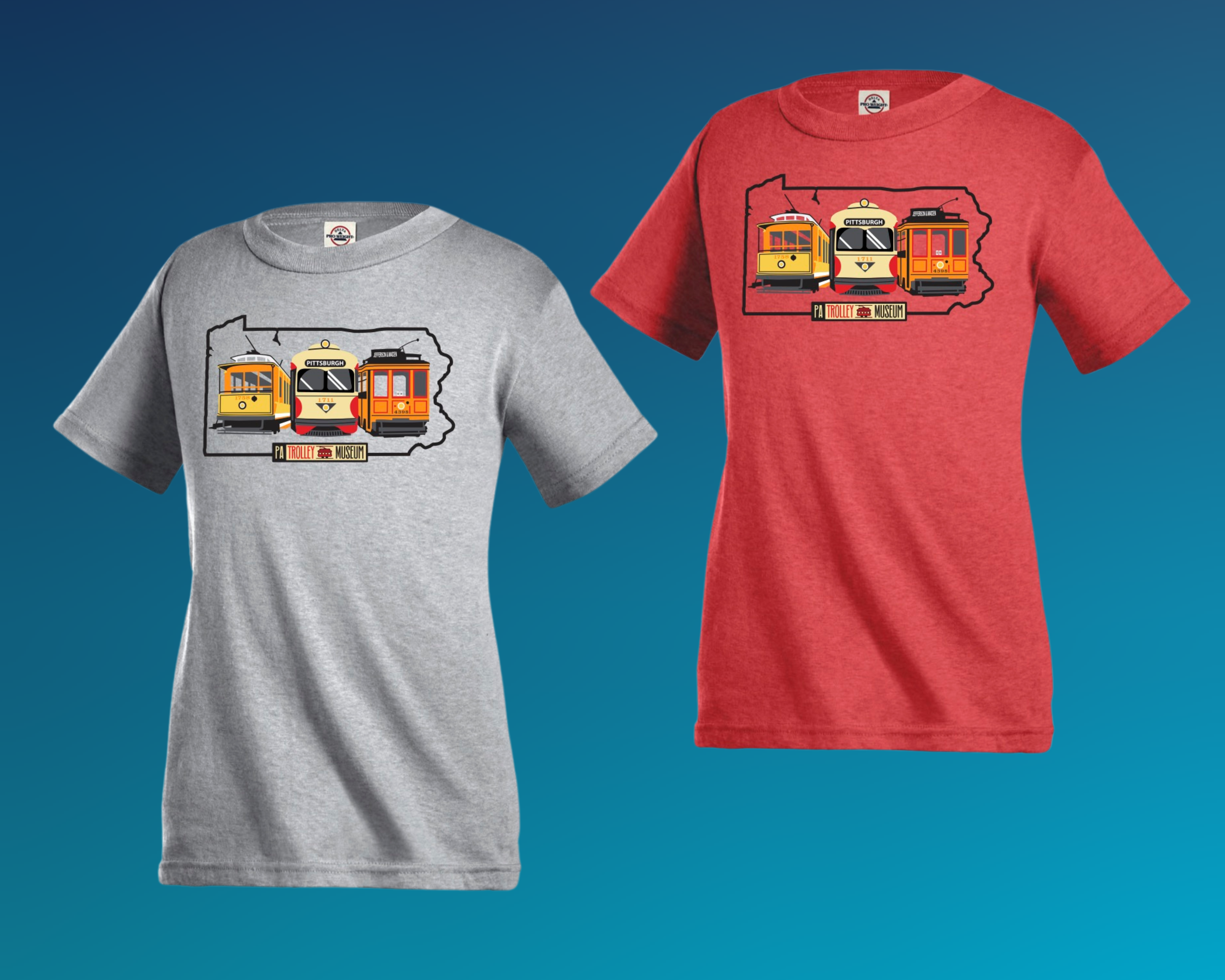 State Outline 3 Car T Shirt
