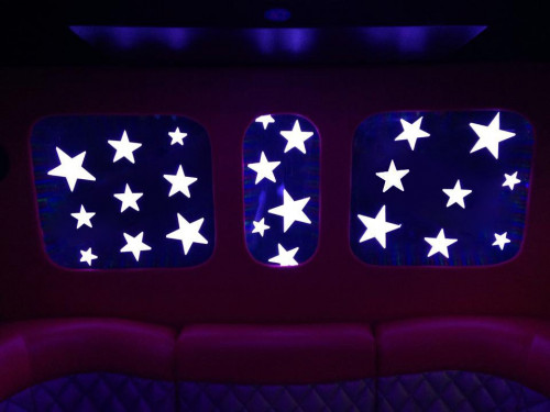 love pink limo bus stars interior