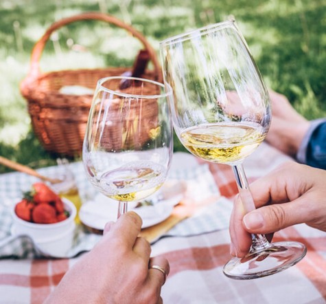 Massanois presents: Wines for "All the Summer THINGS!"