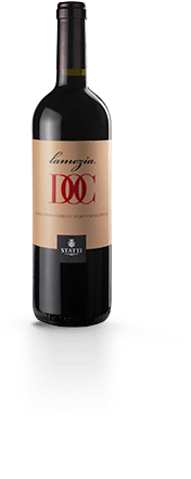 Statti Lamezia Rosso 750ml